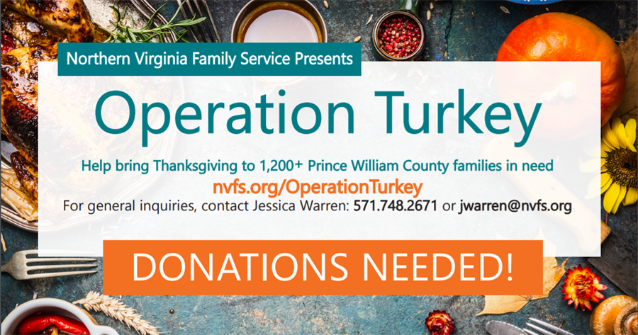 NVFS Operation Turkey